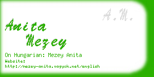 anita mezey business card